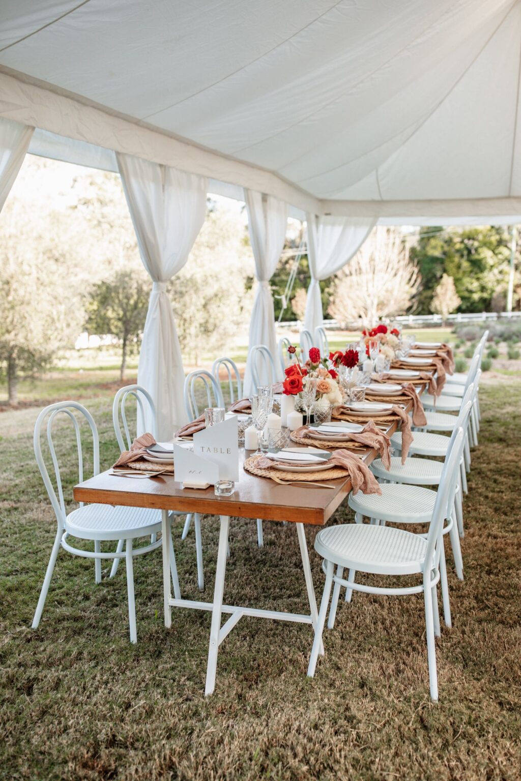 White store bentwood chairs